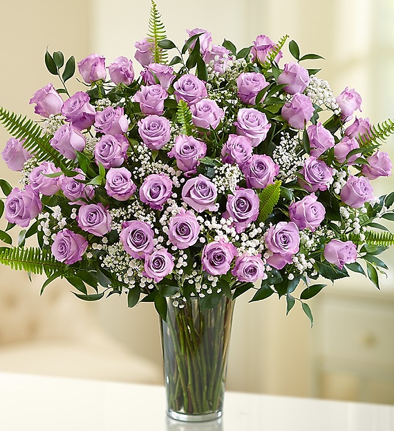 Premium Long Stem 36 Purple Roses