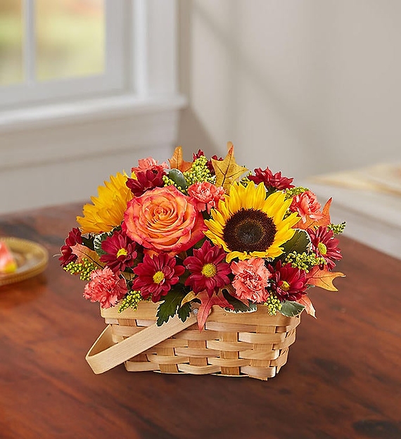 Fields of Europe&trade; for Fall Basket