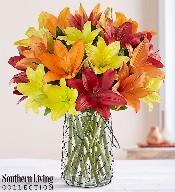 Country Splendor&trade; Lilies by Southern Living&reg;